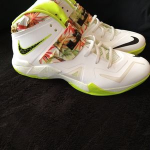 LeBron 7 Kings pride Edition